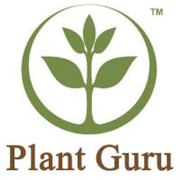 Plant Gurulogo