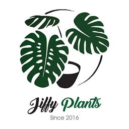 J iffy Plantslogo