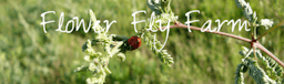 Flower Fly Farmlogo